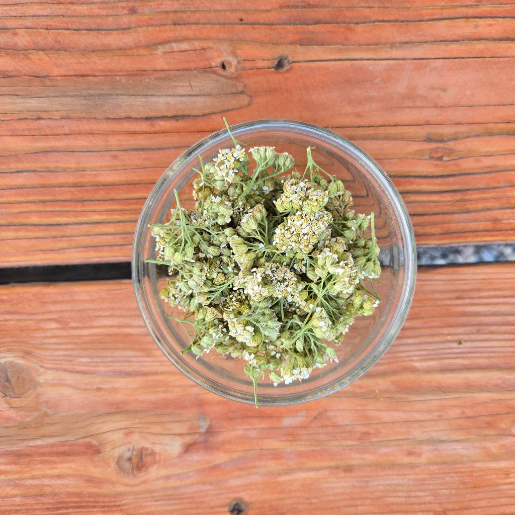 Yarrow Herb