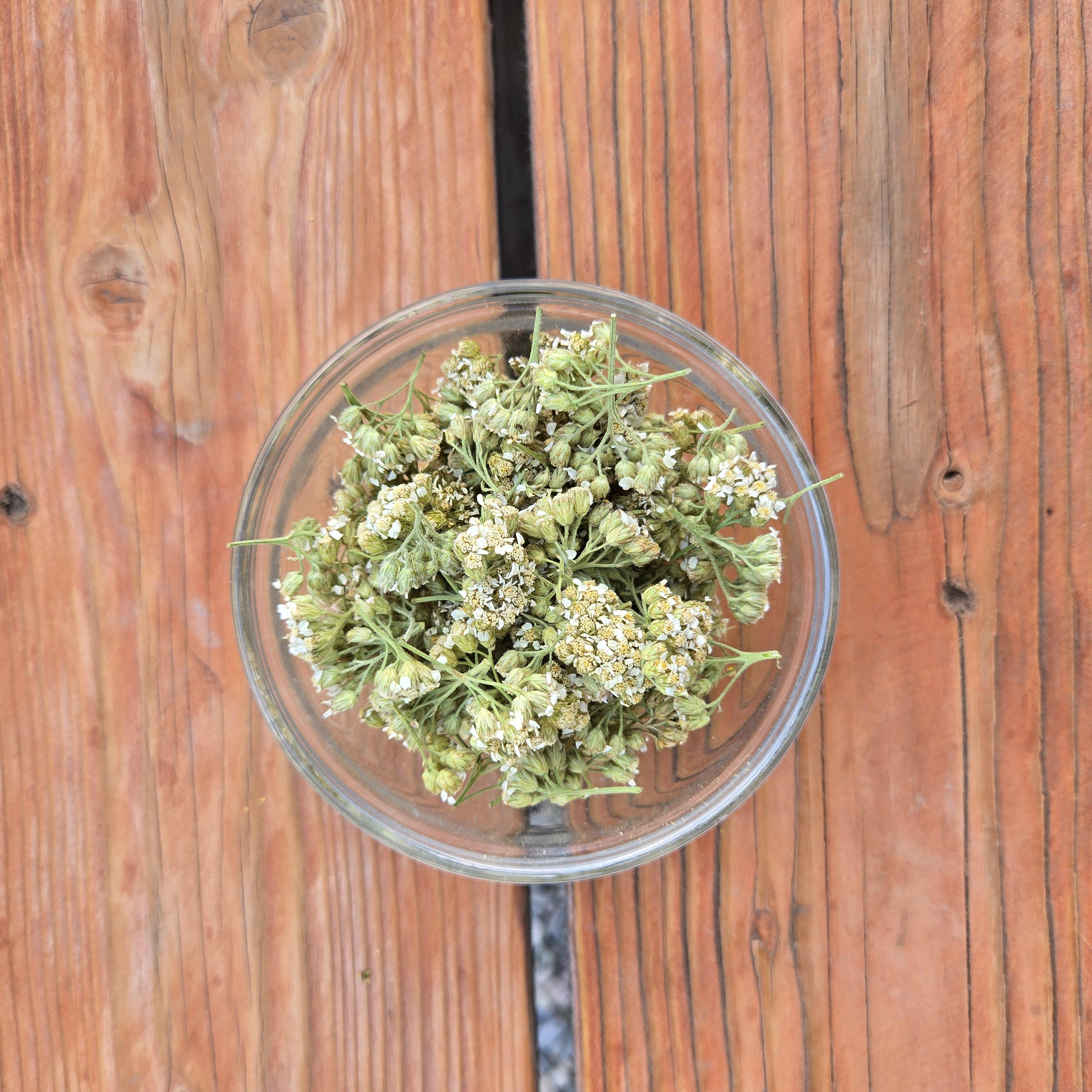 Yarrow Herb
