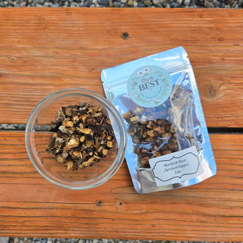 Burdock Root