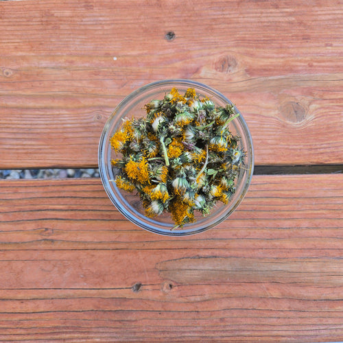 Dandelion Herb